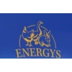 Energys