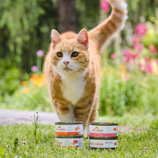 Almo Nature HFC Jelly Salmon konservai katėms su lašiša drebučiuose