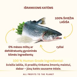 Almo Nature HFC Adult Highly Appetizing Salmon sausas maistas katėms