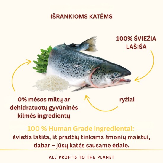Almo Nature HFC Adult Highly Appetizing Salmon sausas maistas katėms