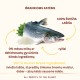 Almo Nature HFC Adult Highly Appetizing Salmon sausas maistas katėms