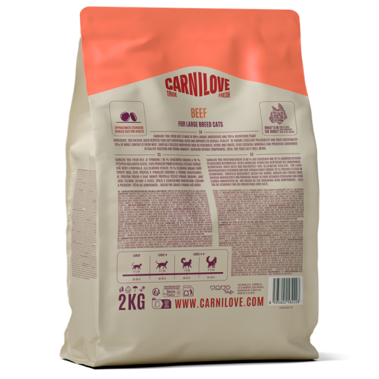 CARNILOVE TRUE FRESH Cat Dry Beef Adult Cat Large Breed sausas maistas katėms