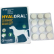 Hyaloral Giant N120 – papildas šunų sąnariams