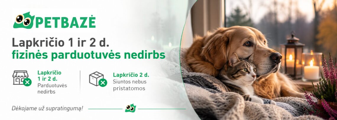 Darbo laikas 11 01- 02