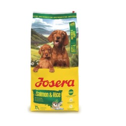 Josera Mother & Puppy Salmon & Rice – sausas maistas nėščioms, žindančioms kalėms ir šuniukams iki 8 savaičių