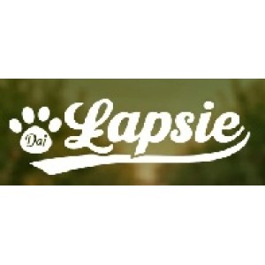Lapsie