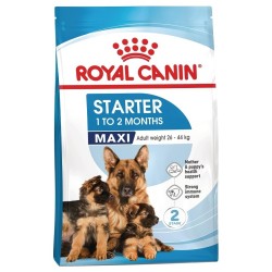 Royal Canin Maxi Starter Mother&Babydog 
