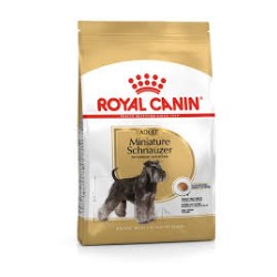 Royal Canin schnauzer Adult 