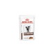 Royal Canin Cat Gastro Intestinal konservai katėms