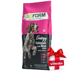 BIO FORM Dog Salmon sausas maistas šunims+DOVANA
