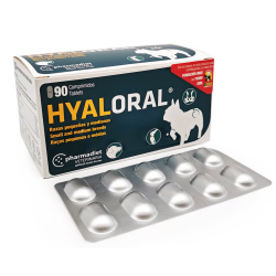 Hyaloral Medium N90 papildai sąnariams