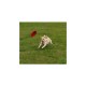 KONG Extreme Flyer Red Frisbee L skraidantis diskas