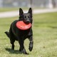 KONG Extreme Flyer Red Frisbee L skraidantis diskas
