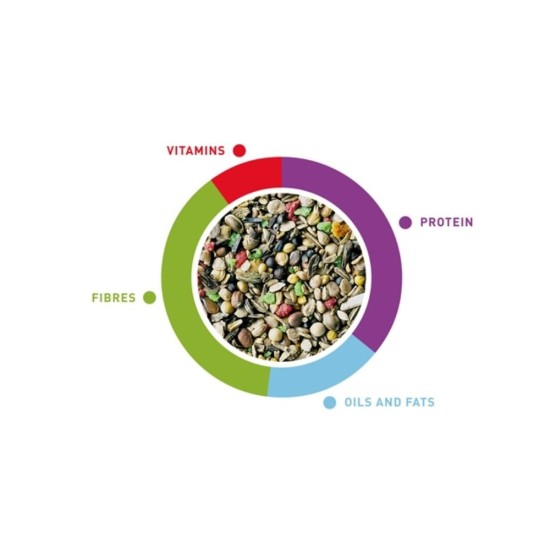 Sėklų mišinys paukščiams Padovan MelodyMix 300 g