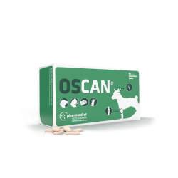 Oscan N60 kaulams, sanariams Oscan N60 kaulams, sanariams