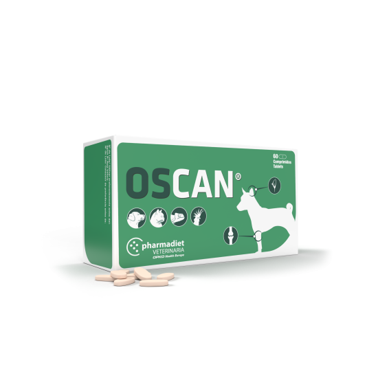 Oscan N60 kaulams, sanariams