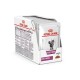 Royal Canin VHN Cat Early Renal Gravy konservai katėms
