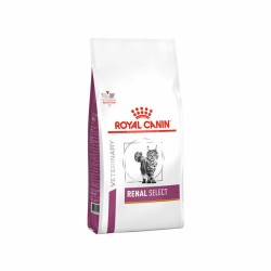 Royal Canin VHN Renal Select Cat sausas pašaras katėms