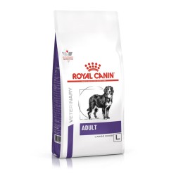 Royal Canin VHN Dog Adult Large Dog sausas pašaras šunims