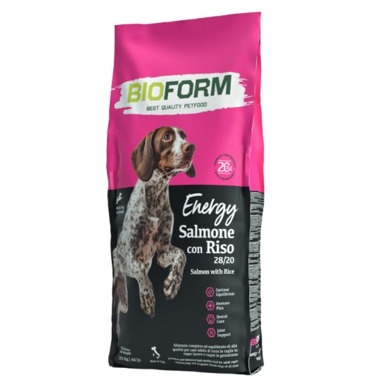 BIO FORM Dog Salmon sausas maistas šunims