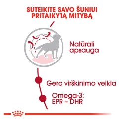 ROYAL CANIN Medium Adult