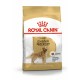 ROYAL CANIN Golden Retriever Adult