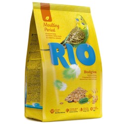 RIO lesalas banguotosioms papūgėlėms šėrimosi metu