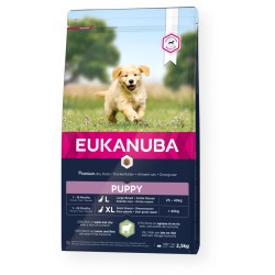 Eukanuba Puppy L/XL Breeds lamb&rice