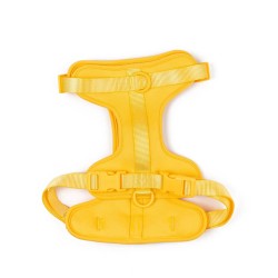 Maxn Petnešos šunims, geltonos spalvos