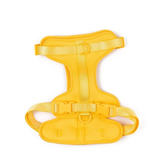 Maxn Petnešos šunims, geltonos spalvos