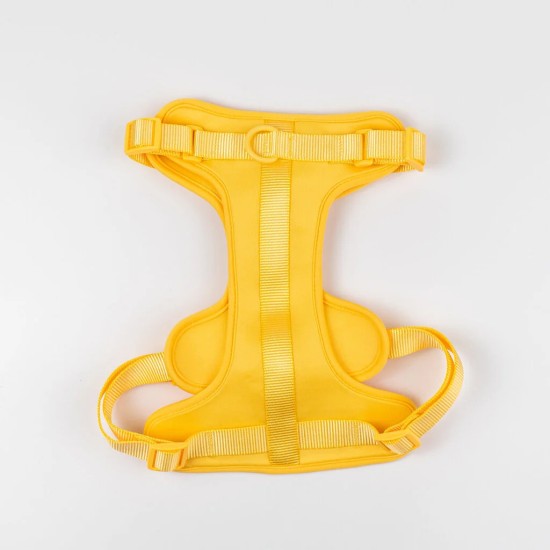 Maxn Petnešos šunims, geltonos spalvos