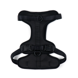 Maxn petnešos šunims, juodos spalvos