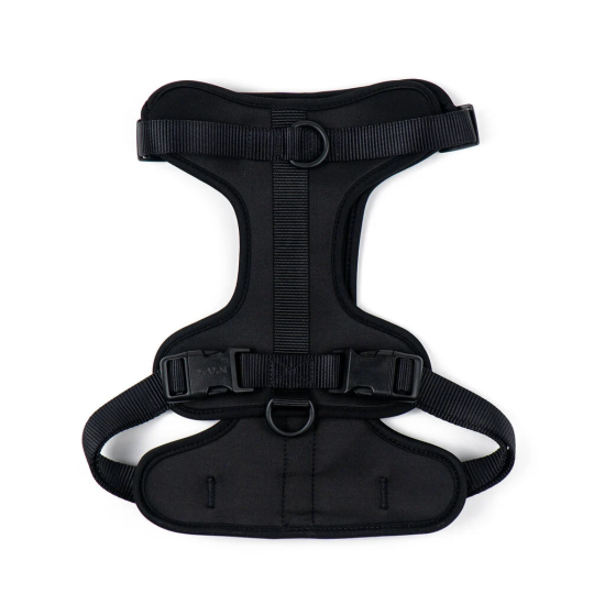 Maxn petnešos šunims, juodos spalvos