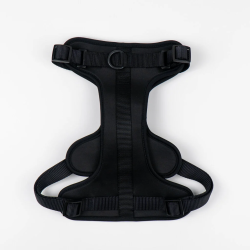 Maxn petnešos šunims, juodos spalvos