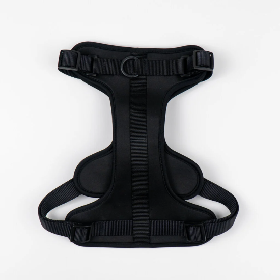 Maxn petnešos šunims, juodos spalvos