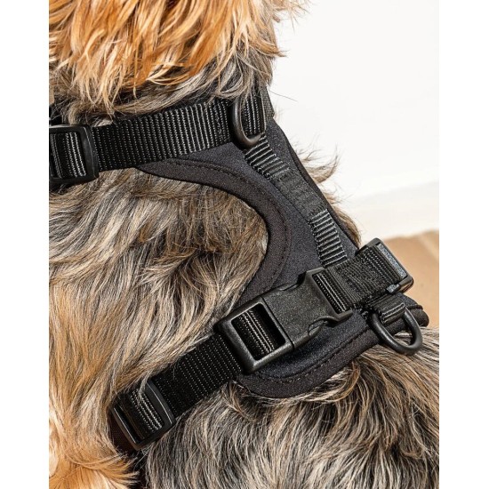 Maxn petnešos šunims, juodos spalvos