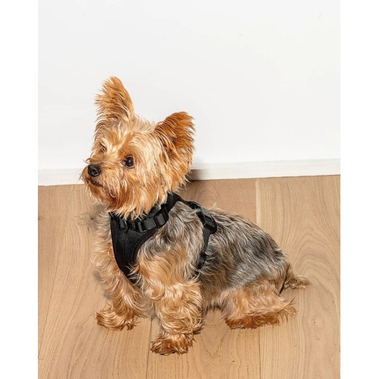 Maxn petnešos šunims, juodos spalvos