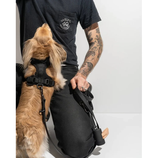 Maxn petnešos šunims, juodos spalvos