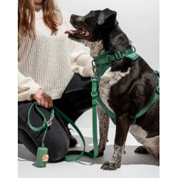 MAXN Pavadėlis šunims, žalias