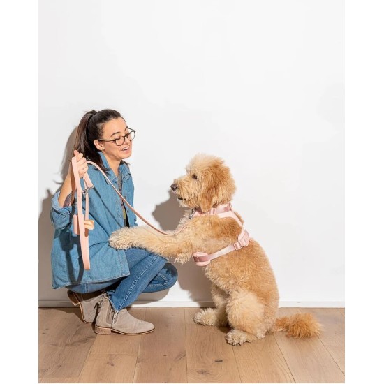 MAXN Pavadėlis šunims, rožinis