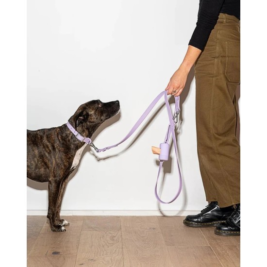 MAXN Pavadėlis šunims, violetinis