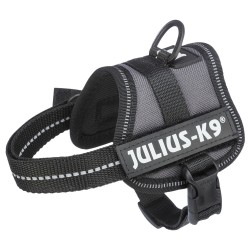 Trixie Julius-K9 petnešos šunims, 1/L dydis: 63 - 85 cm x 50 mm, antracito spalvos Trixie Julius-K9 petnešos šunims, 1/L dydis: 63 - 85 cm x 50 mm, antracito spalvos