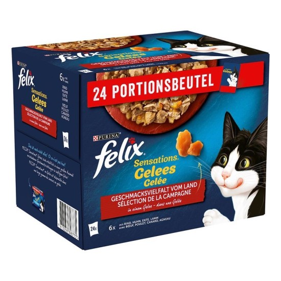 Felix Sensations Pouches Jelly konservai katėms su sardinėmis, lašiša, jūrų lydeka ir upėtakiais Felix Sensations Pouches Jelly konservai katėms su sardinėmis, lašiša, jūrų lydeka ir upėtakiais