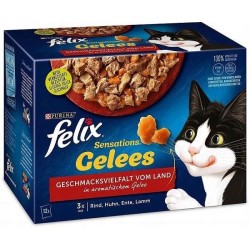 Felix Sensations Pouches Jelly konservai katėms su jautiena, vištiena, antiena, ėriena