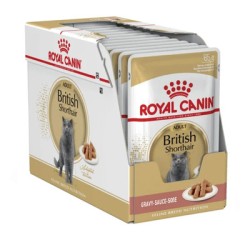 Royal Canin British Shorthair šlapias maistas katėms Royal Canin British Shorthair šlapias maistas katėms