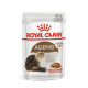 Royal Canin Ageing 12+ in Jelly konservai katėms