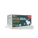 Hyaloral Medium N90 papildai sąnariams