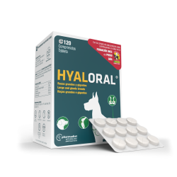 Hyaloral Giant N120 Hyaloral Giant N120
