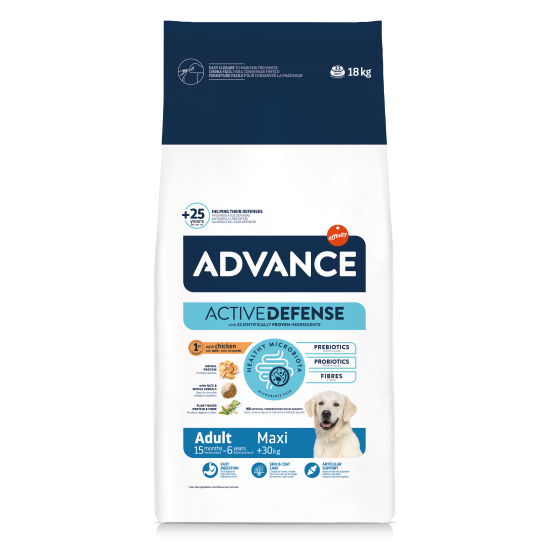Advance Maxi Adult sausas pašaras didelių veislių šunims