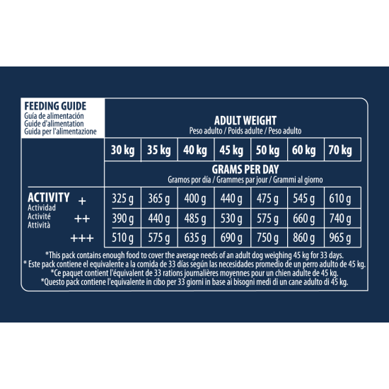 Advance Maxi Adult sausas pašaras didelių veislių šunims